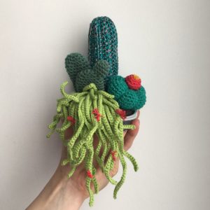 Composition florale cactus & succulente / pot céramique