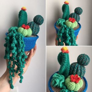 Composition florale cactus & succulente – pot crochet bleu