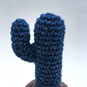 Cactus candelabre bleu jeans